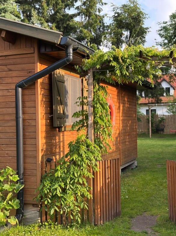 Holiday home Butelkowa Zielen *